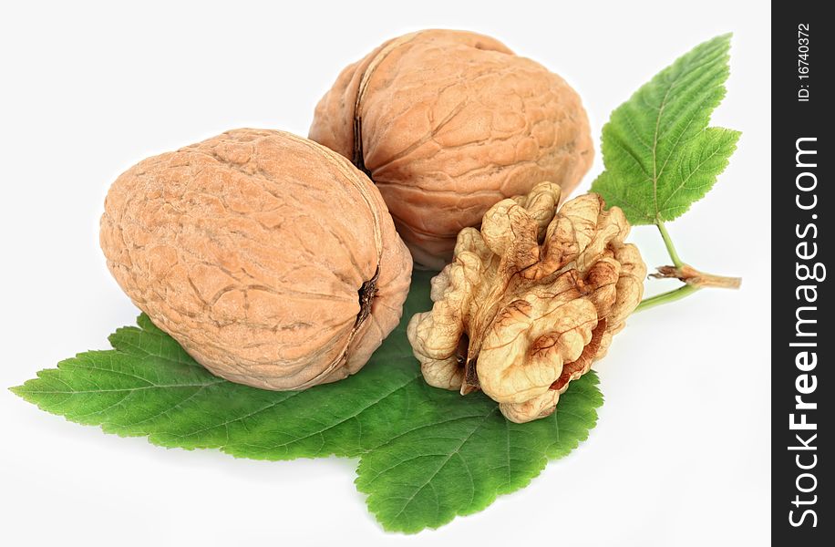 Walnut on white background mellow