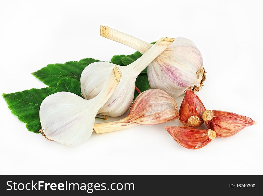 Mellow garlic on a white background