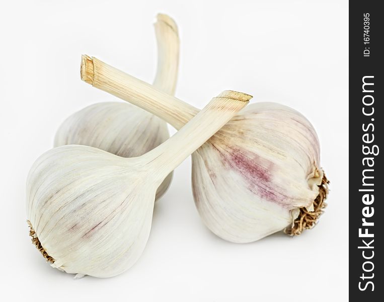 Mellow garlic on a white background