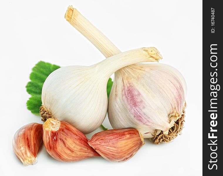 Mellow garlic on a white background