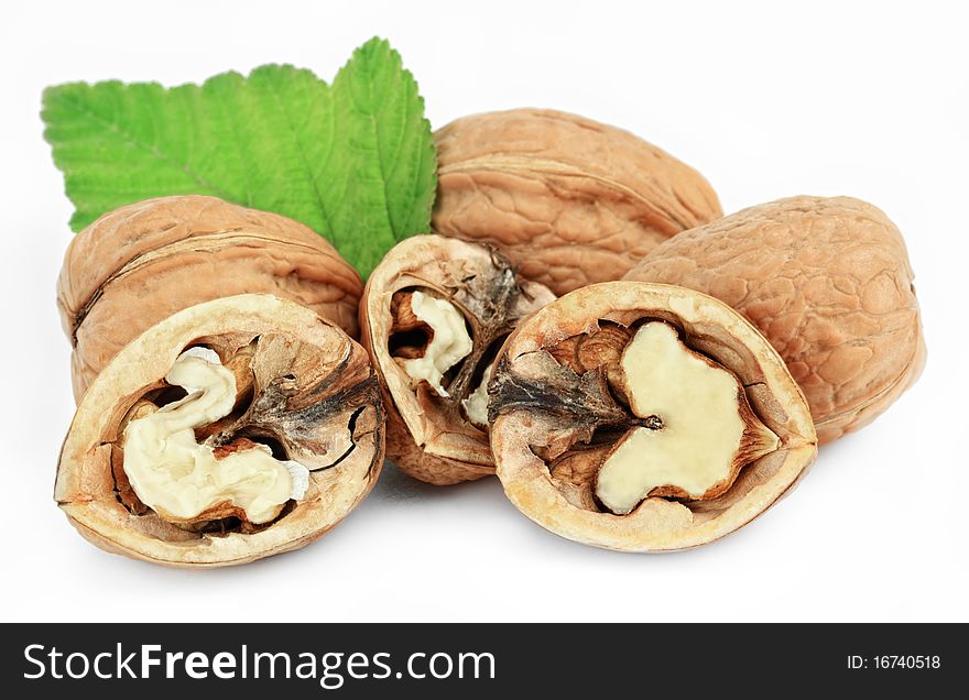 Walnut on white background mellow