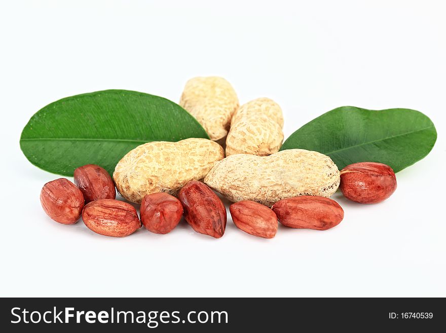 Peanuts are nuts on a white background
