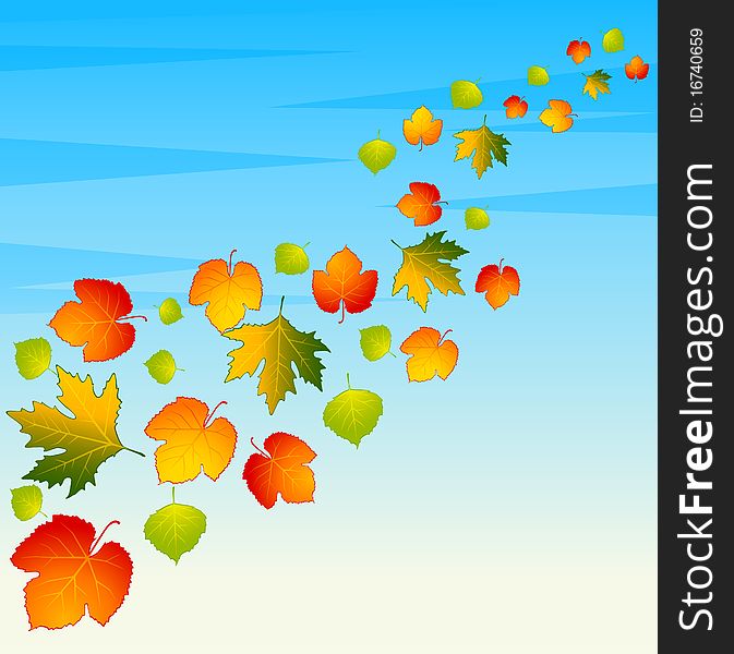 Background with autumnal leaves.for a design