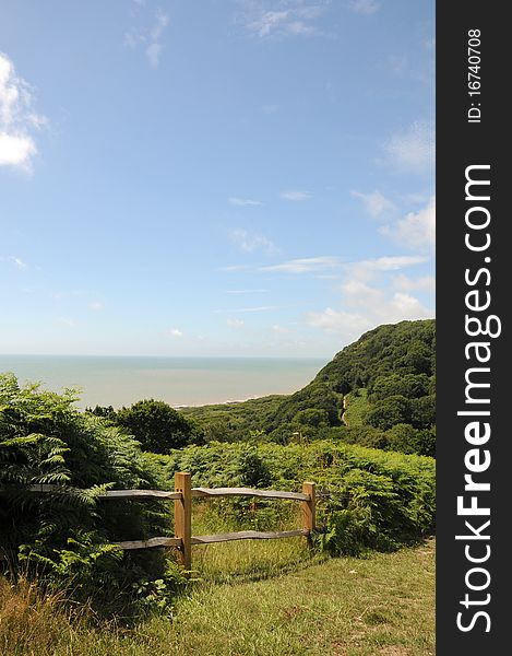 View out towards the sea from East Hill Country Park, Hastings