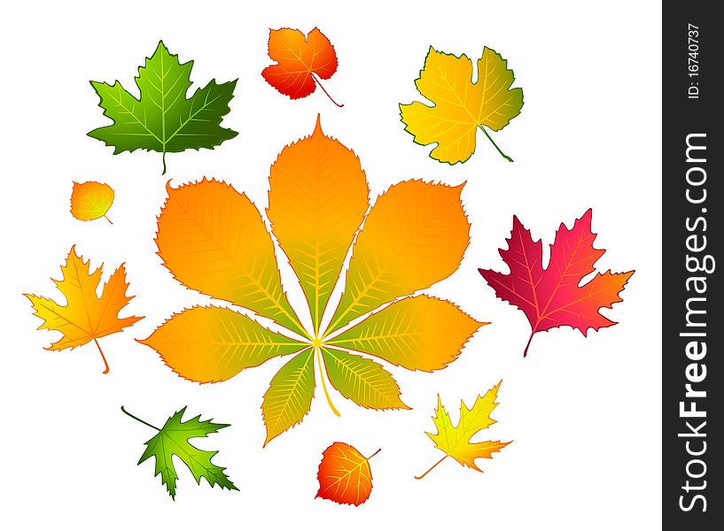 Background with autumnal leaves.for a design