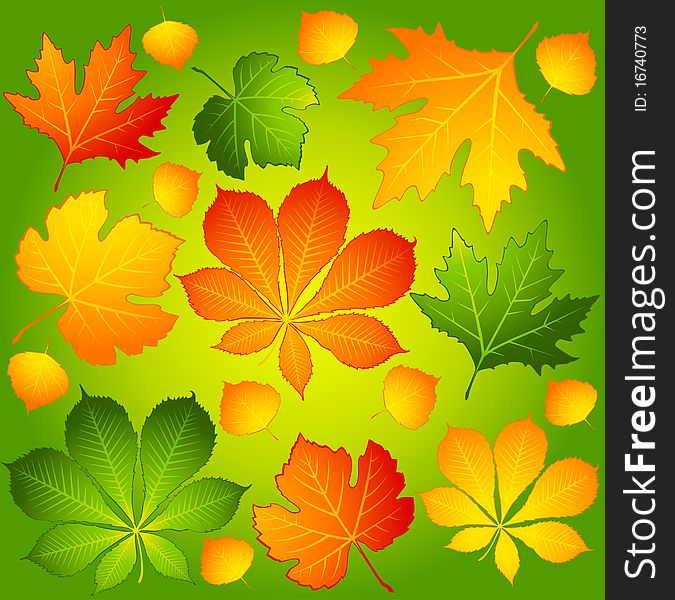 Background with autumnal leaves.illustration for a design