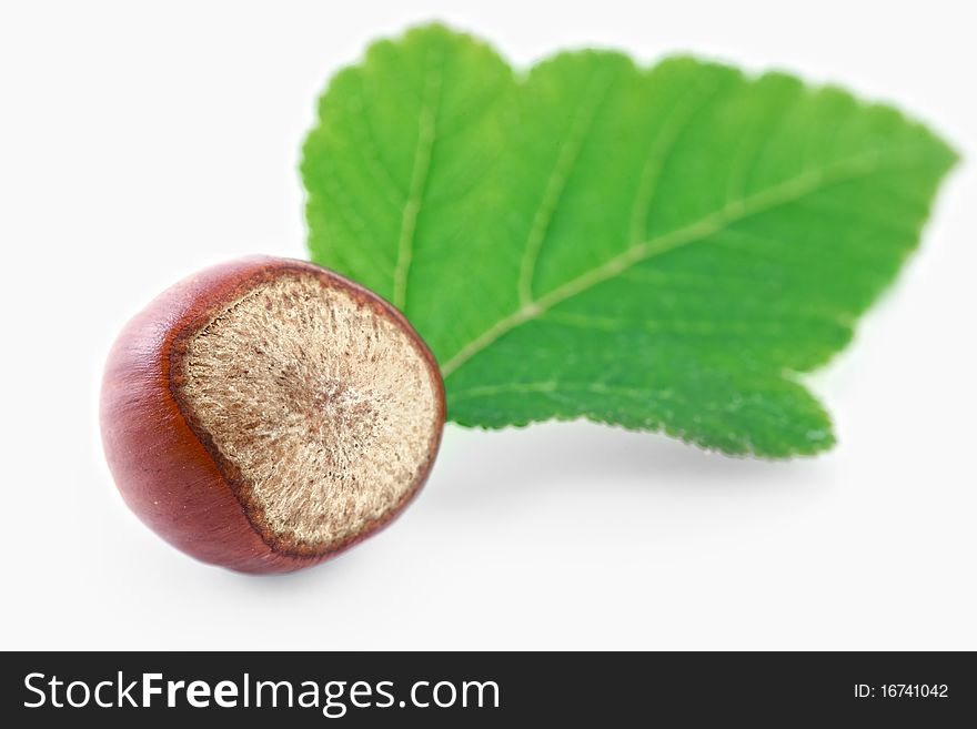 Hazelnuts on a white background mellow