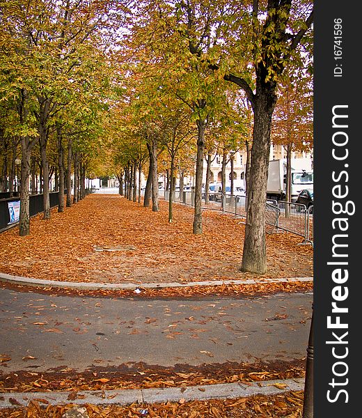 Road with leaves in autumn. Road with leaves in autumn