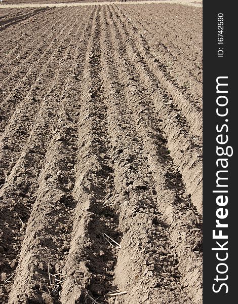 The Ploughed Furrows of a Farmers Field. The Ploughed Furrows of a Farmers Field.