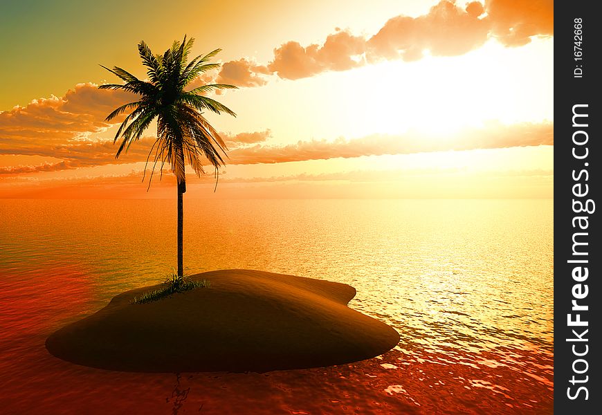 Small island with a palm tree