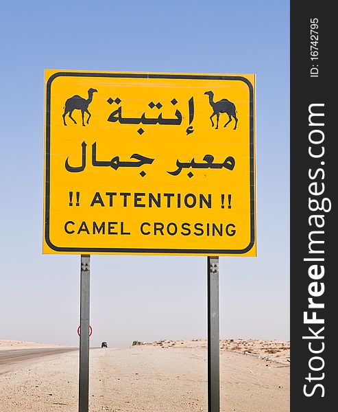 Motorists should beware of camels crossing the road in the desert. Motorists should beware of camels crossing the road in the desert.