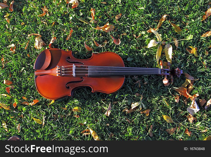 Violin lying on the grass. Violin lying on the grass