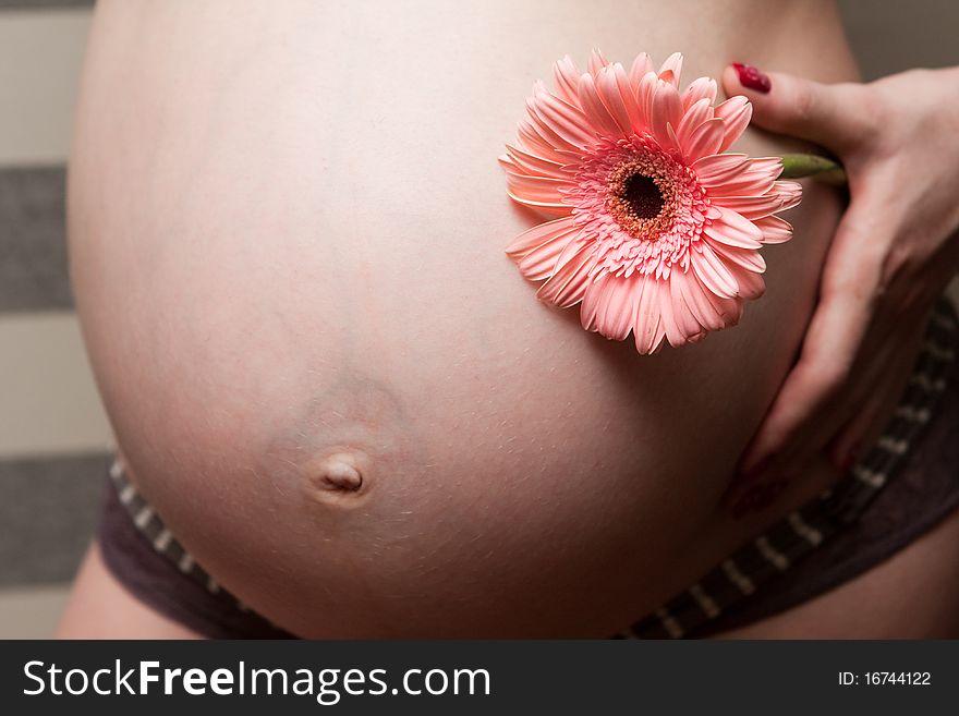 Pot-belly with a red flower. Pot-belly with a red flower
