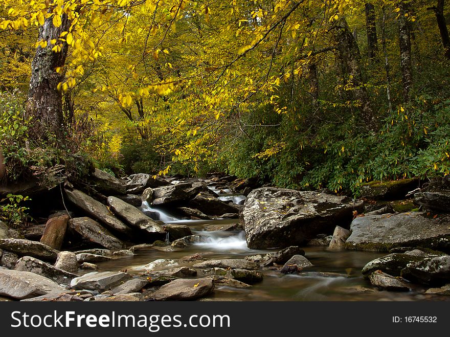 Autumn Foliage Over Little Pigeon River