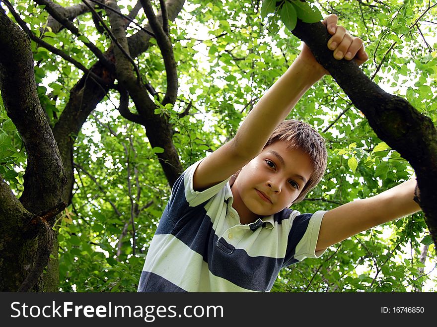 Caucasian cute boy portrait on tree outdoor. Caucasian cute boy portrait on tree outdoor