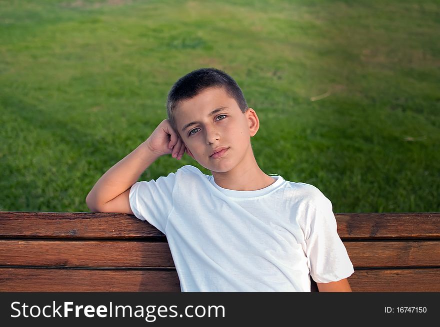 Boy sitting on a park bench with green meadow on the background . Boy sitting on a park bench with green meadow on the background .