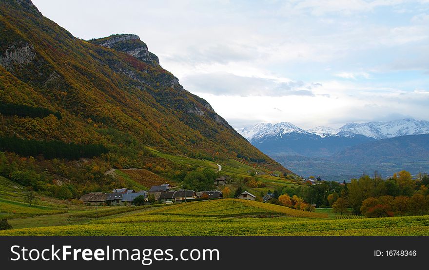 Savoyard vineyard during fall in french alps