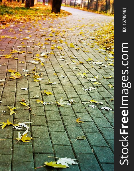 Brick road in the park covered with yellow fallen leaves. Brick road in the park covered with yellow fallen leaves