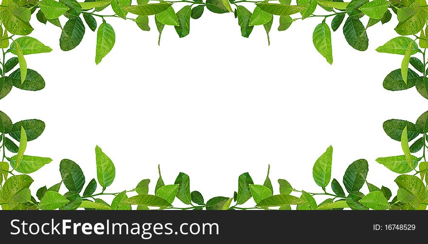 Green leaves frame - similar images available