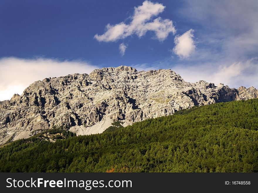 Mountains with thick pine forest