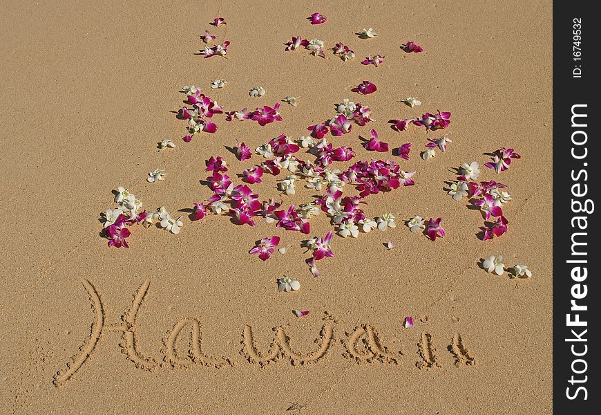 Hawaii Written In Sand On Hawaiian Beach Orchids