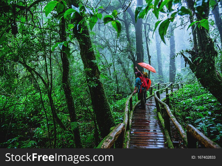 Lover asian man and asian women travel nature. Nature Study in the rain forest at Chiangmai in Thailand