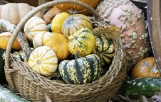 Fall Pumpkins Stock Photos Fall Pumpkins Stock Photos