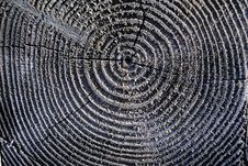 Log End Royalty Free Stock Photo Log End Royalty Free Stock Photo