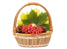 Autumn Leaves And Fruits In Basket Royalty Free Stock Image Autumn Leaves And Fruits In Basket Royalty Free Stock Image