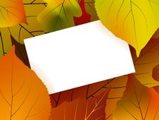 Blank Card Surrounded By Beautiful Autumn Leaves Stock Images Blank Card Surrounded By Beautiful Autumn Leaves Stock Images