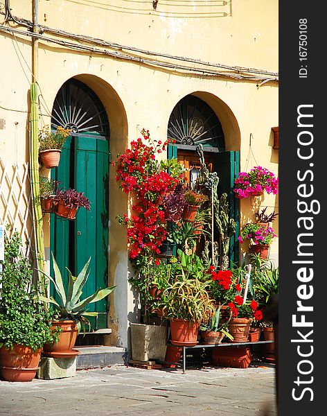 Potted plants displayed on the front steps of a Lucca doorway. Potted plants displayed on the front steps of a Lucca doorway