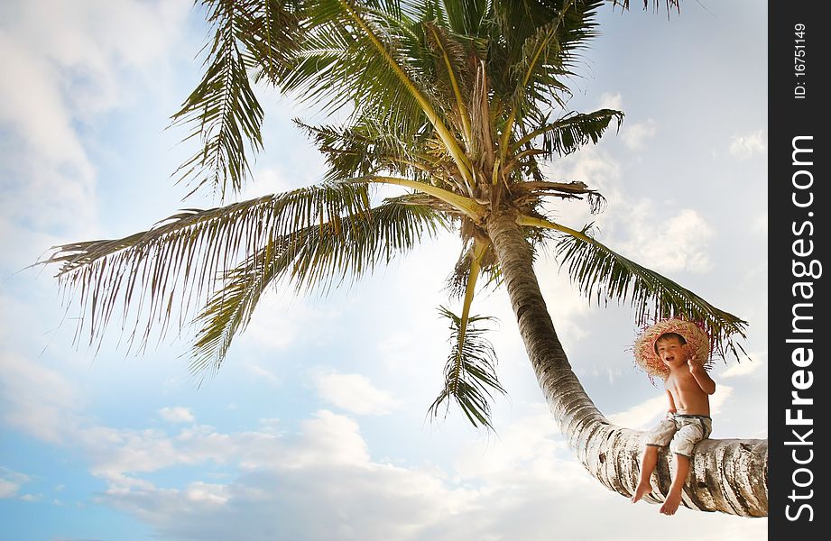 Happy boy sitting on palm tree over sky background