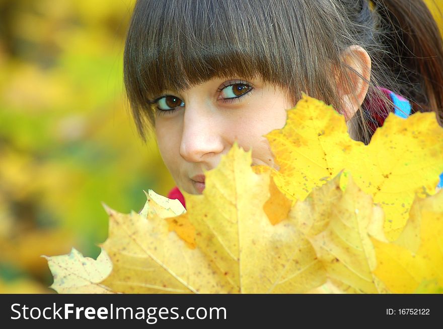 A girl hidden behind autumn leaves. A girl hidden behind autumn leaves