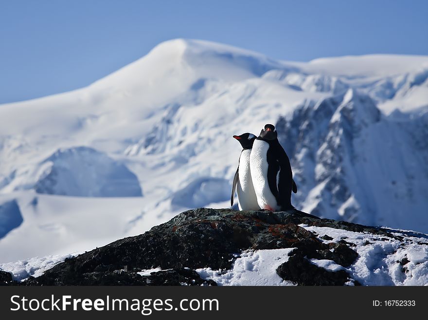 Two penguins dreaming sitting on a rock, mountains in the background