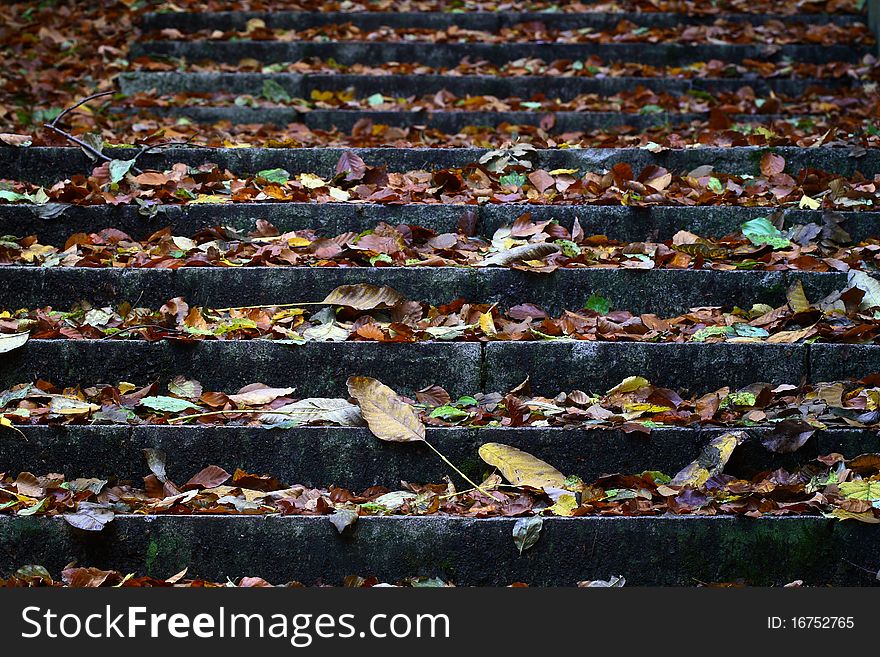 Stairs covered in fallen leaves. Stairs covered in fallen leaves