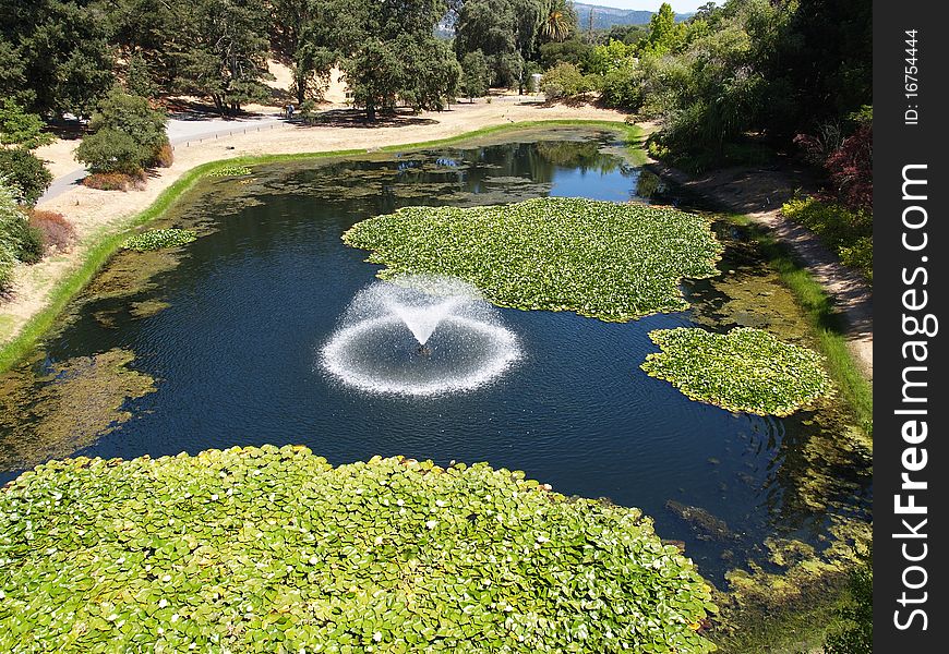 Beautiful fountain located in in north California winery