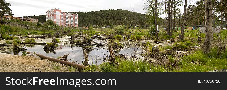 Old bog on city suburb