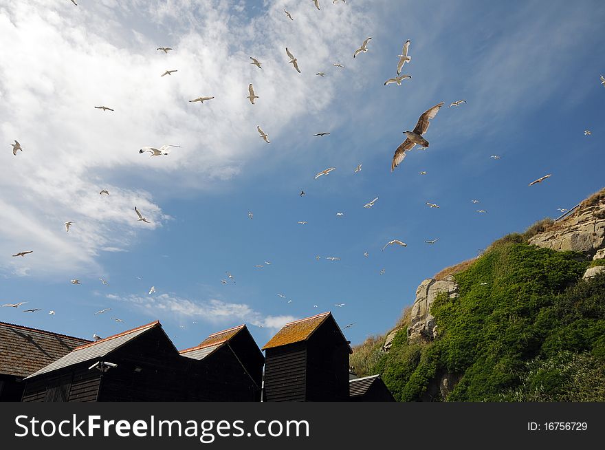 Seagulls flying around fishing huts, Hastings