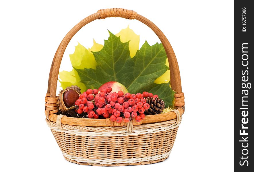 Autumn leaves and fruits in basket