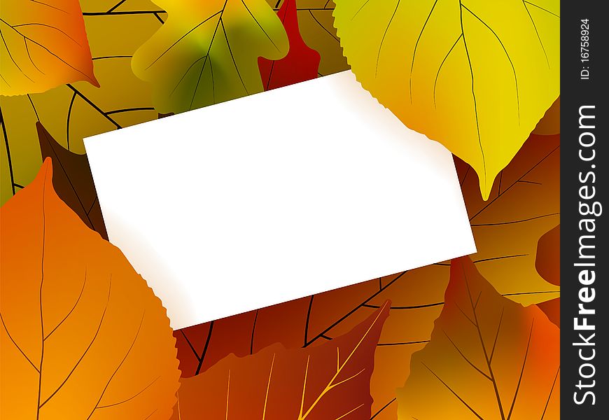 Blank card surrounded by beautiful autumn leaves. EPS 8  file included