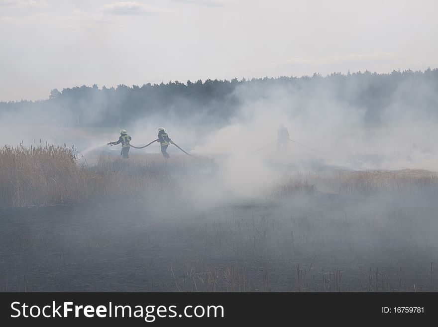 Firefighters fight against a fast-spreading field fire to protect the rest of the crop