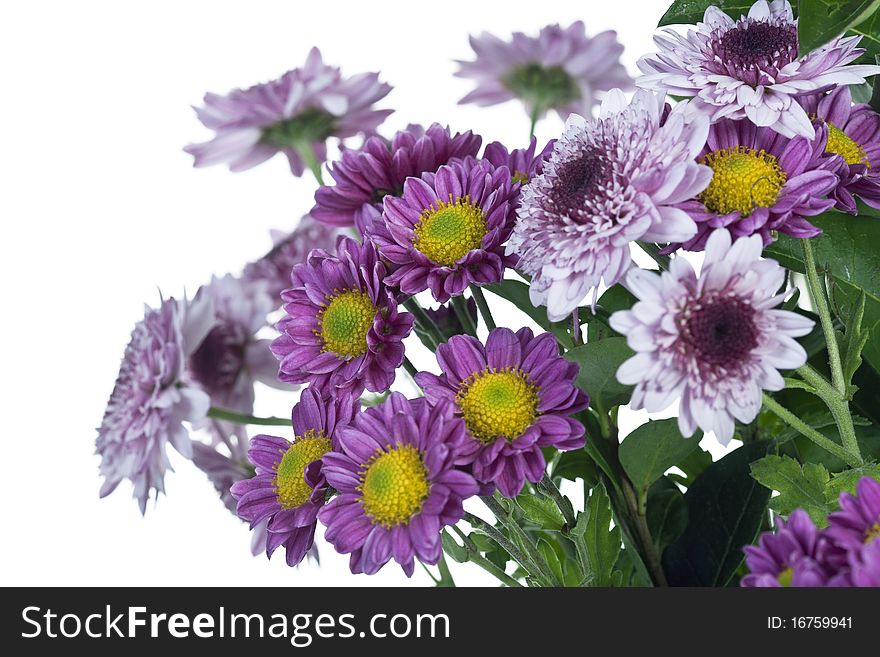 Slose up of a bunch of flowers isolated on white. Slose up of a bunch of flowers isolated on white