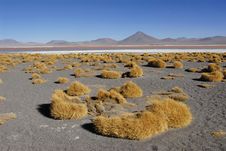Laguna Colorada Royalty Free Stock Image Laguna Colorada Royalty Free Stock Image