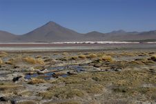 Laguna Colorada Royalty Free Stock Photo Laguna Colorada Royalty Free Stock Photo