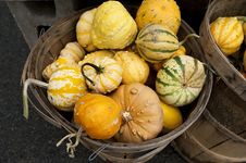 Basket Of Gourds Stock Photography Basket Of Gourds Stock Photography