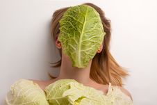 Cabbage Stock Image Cabbage Stock Image