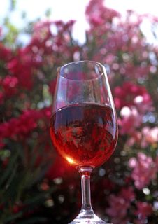 Glass Of Red Wine Royalty Free Stock Image Glass Of Red Wine Royalty Free Stock Image