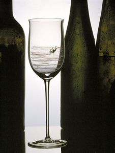 Spider With Web In A Glas Royalty Free Stock Image Spider With Web In A Glas Royalty Free Stock Image