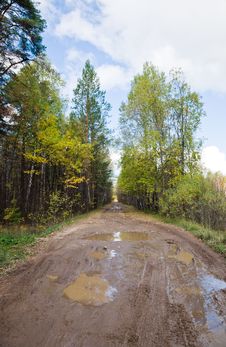 Muddy Rural Road Stock Images Muddy Rural Road Stock Images