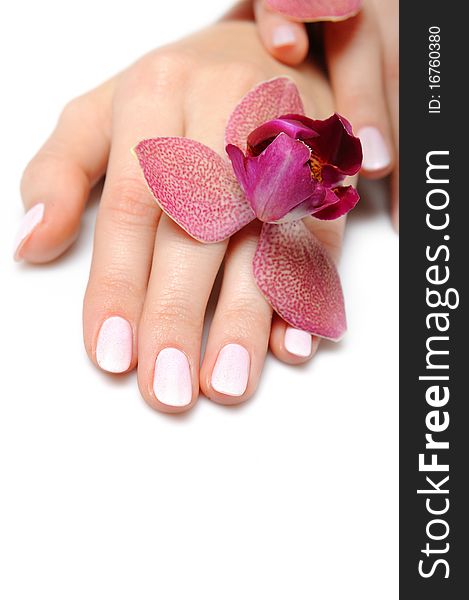 Beautiful Hand With Perfect Nail Pink Manicure